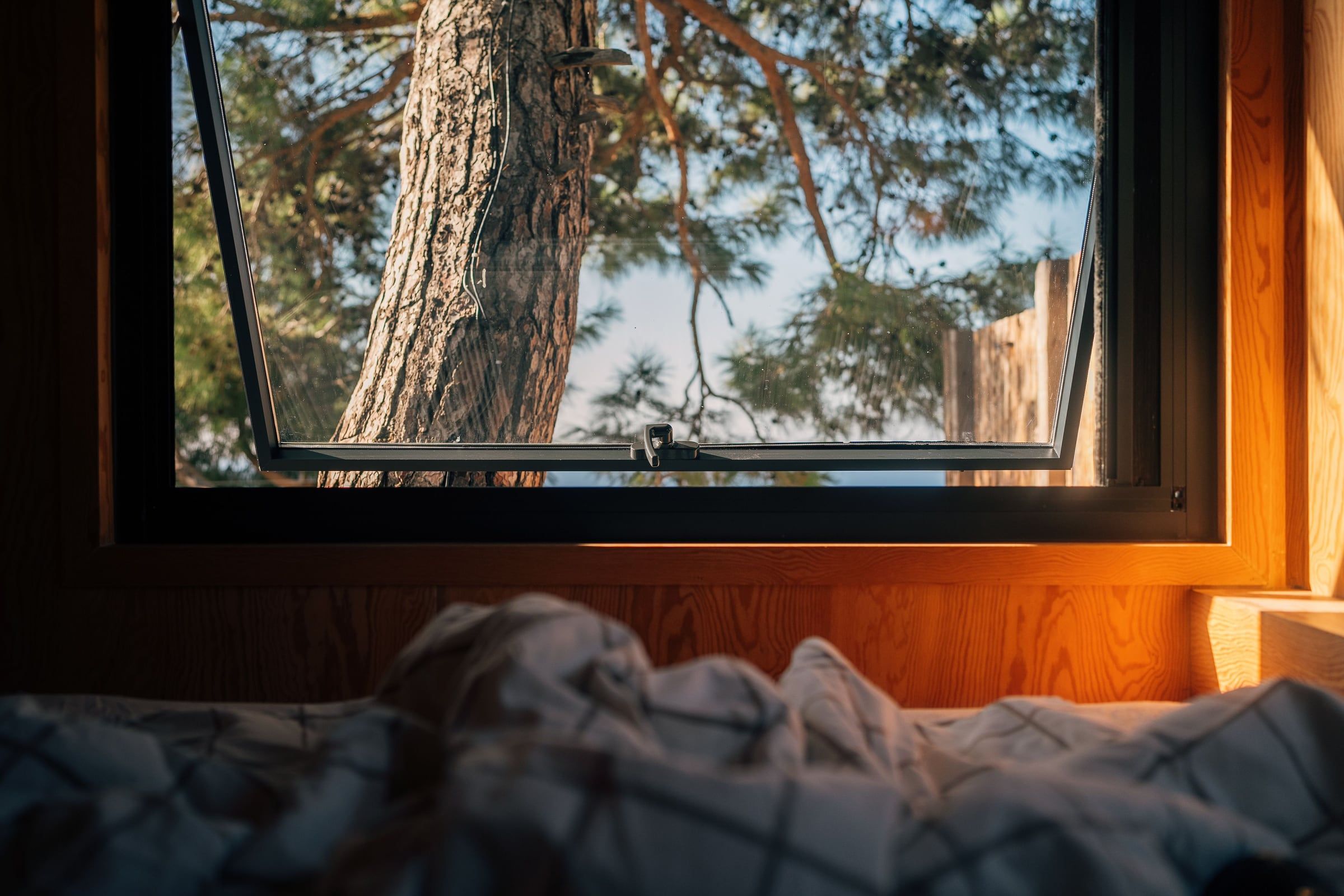 An unmade bed below a window propped open onto pine trees.