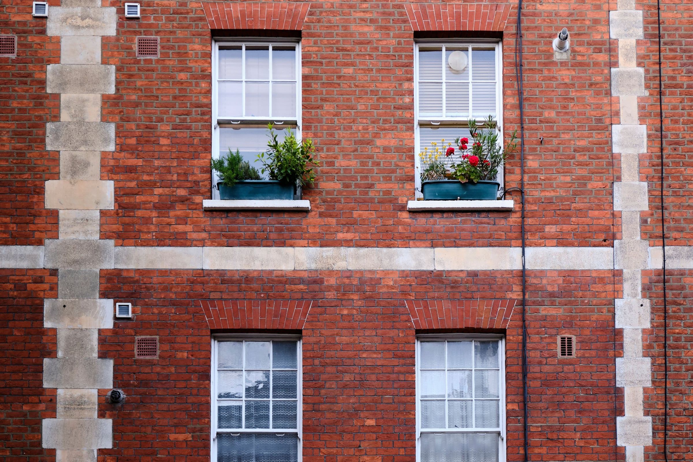 Sash windows and window boxes in a red brick facade with stone banding.